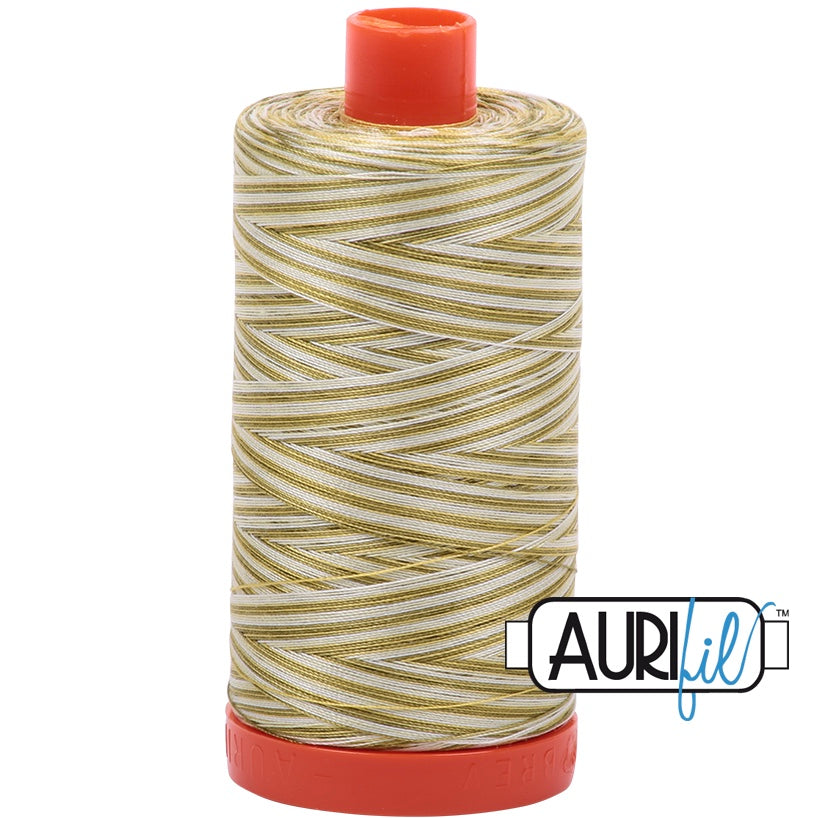 Aurifil Cotton 50wt Thread - 1300 mt - 4653 - Variegated - Spring Prairie