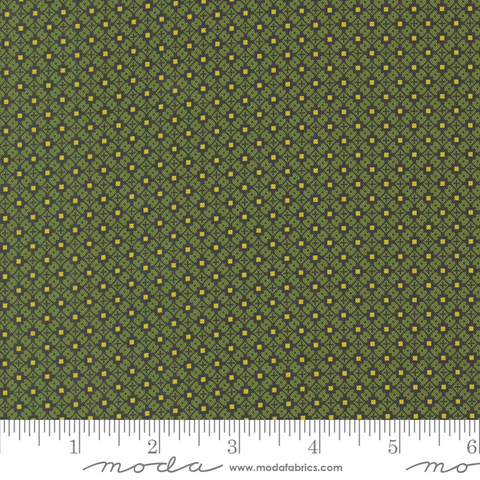 Sallys Stitches - Crisscross Blenders - New Leaf