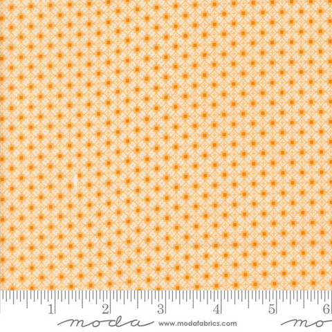 Sallys Stitches - Crisscross Blenders - Honey