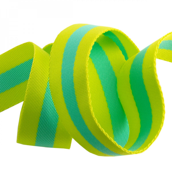 Tula Pink Webbing - Strapping - Lime/Turquoise - 1.5” - 2y