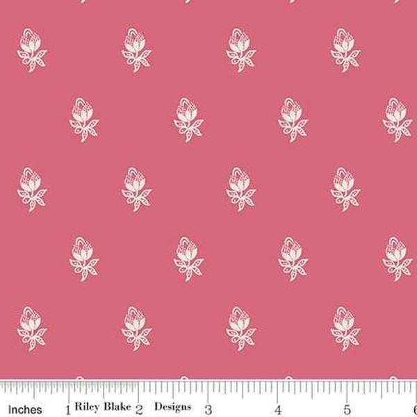 Sense & Sensibility - Sonnet