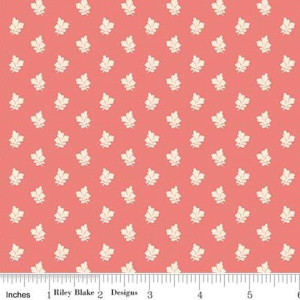 Sense & Sensibility - Lucy