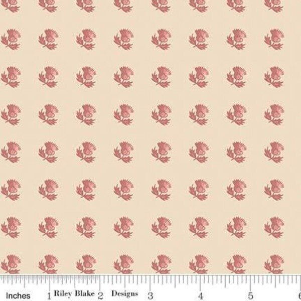 Sense & Sensibility - Middelton