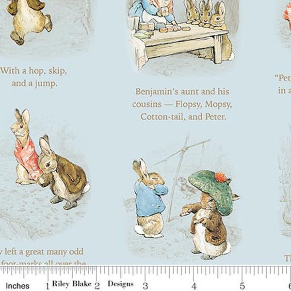 Peter Rabbit & Benjamin Bunny - Story Time - Blue