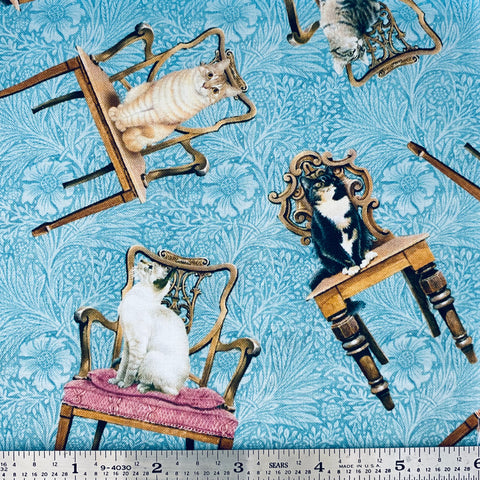 Sophisticats - Cats on Chairs