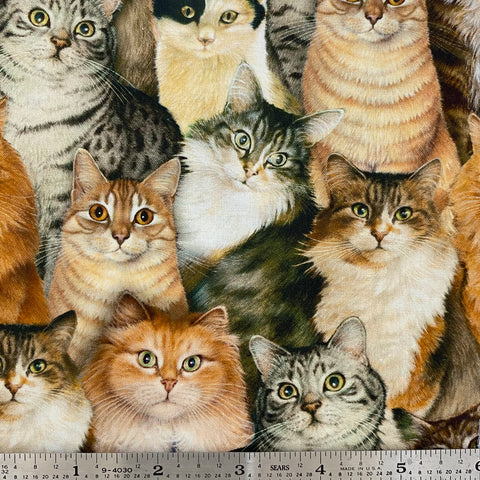Sophisticats - Cat Collage