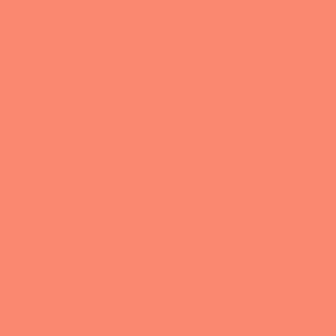 Solids by FreeSpirit - Persimmon - Tula Pink