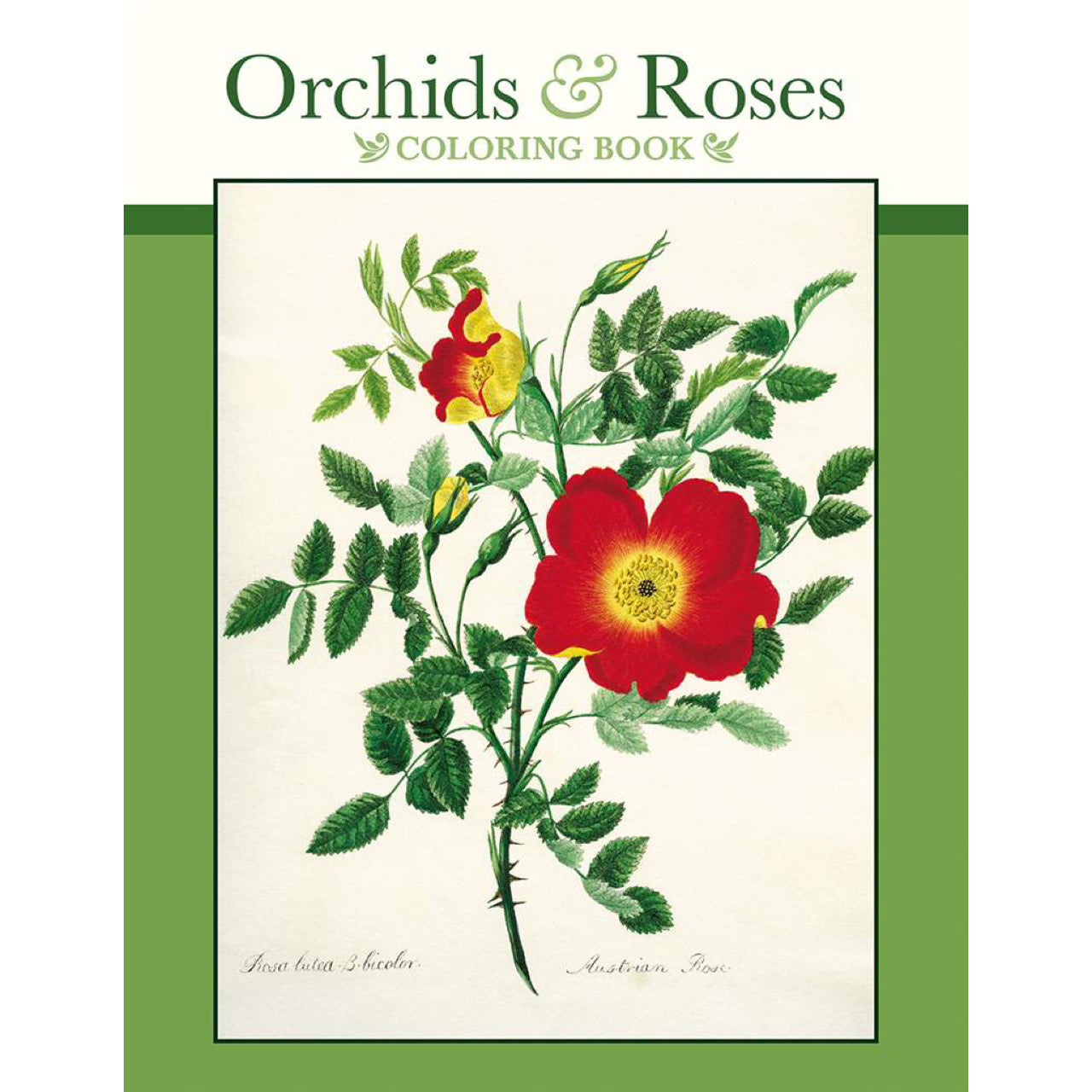 Orchids & Roses - Coloring Book
