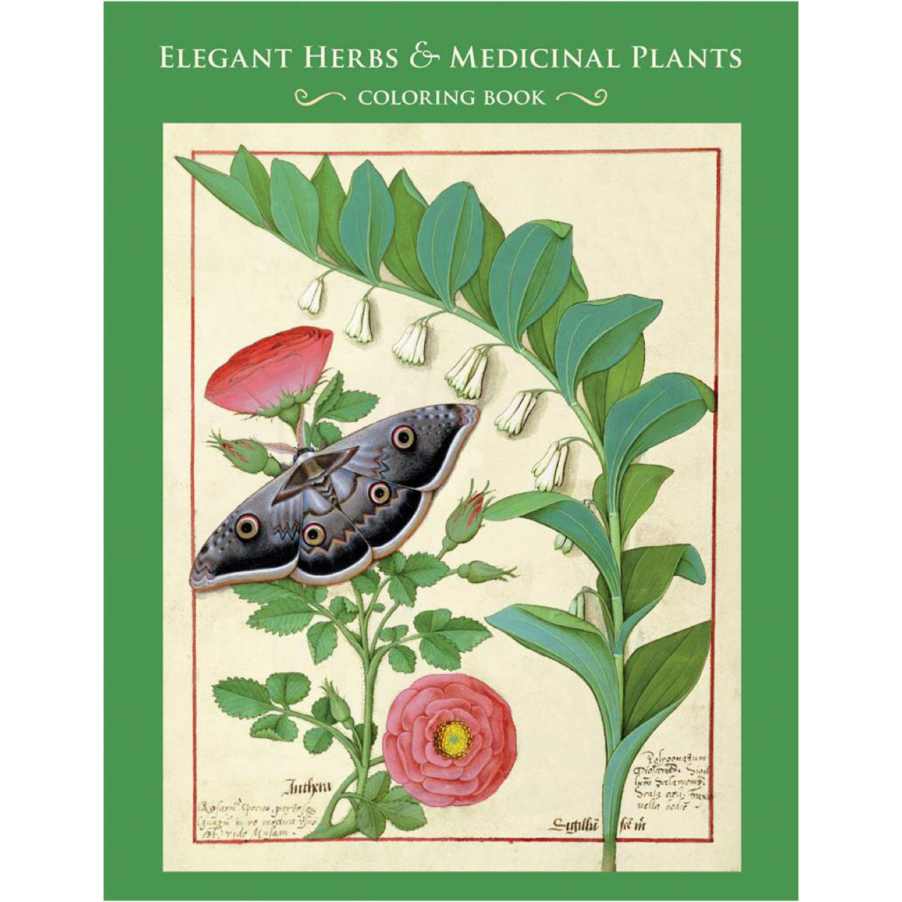 Elegant Herbs & Medicinal Plants - Coloring Book